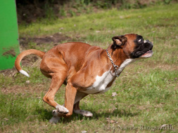 Landespokalkampf 2013_61