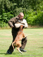 Landespokalkampf 2013_64
