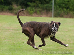 Landespokalkampf 2013_72